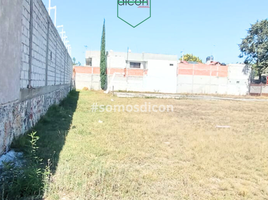 在Puebla出租的 土地, Puebla, Puebla