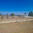 8 Habitación Quinta en venta en Ezequiel Montes, Querétaro, Ezequiel Montes, Querétaro