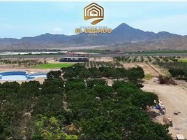  Terreno (Parcela) en venta en Huaral, Lima, Huaral, Huaral