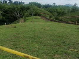  Terreno (Parcela) en venta en Ulloa, Valle Del Cauca, Ulloa