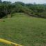  Land for sale in Ulloa, Valle Del Cauca, Ulloa