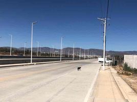  Terreno (Parcela) en venta en San Agustin Tlaxiaca, Hidalgo, San Agustin Tlaxiaca
