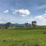  Grundstück zu verkaufen in Jilotepec, Mexico, Jilotepec