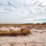  Land for sale in Hermosillo, Sonora, Hermosillo, Sonora