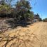  Terreno (Parcela) en venta en Compostela, Nayarit, Compostela