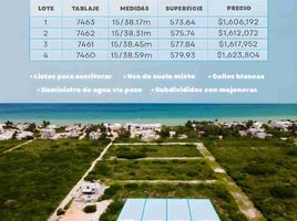  Terreno (Parcela) en venta en Ixil, Yucatán, Ixil