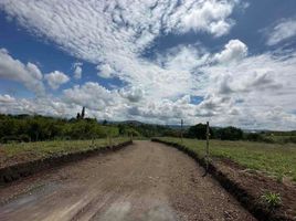  Land for sale in Pereira, Risaralda, Pereira