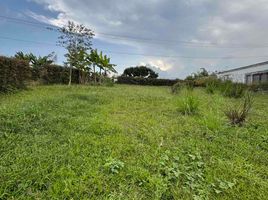  Land for sale in Pereira, Risaralda, Pereira