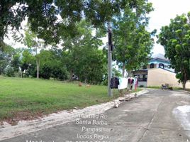  Land for sale in Pangasinan, Ilocos, Santa Barbara, Pangasinan