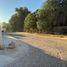  Land for sale in Bacum, Sonora, Bacum