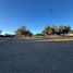  Land for sale in Bacum, Sonora, Bacum