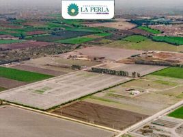  Terreno (Parcela) en venta en Huaral, Lima, Huaral, Huaral