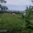  Land for sale in Bandung, West Jawa, Ngamprah, Bandung