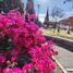 3 Schlafzimmer Villa zu vermieten in Queretaro, Queretaro, Queretaro, Queretaro, Mexiko