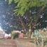 4 Bedroom House for sale in Huitzilac, Morelos, Huitzilac