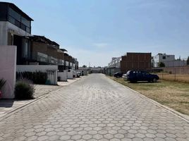  Terreno (Parcela) en venta en San Jeronimo Tecuanipan, Puebla, San Jeronimo Tecuanipan
