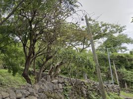  Terreno (Parcela) en venta en Tepoztlan, Morelos, Tepoztlan