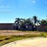  Land for sale in Compostela, Nayarit, Compostela