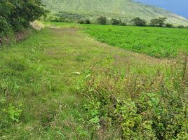  Terreno (Parcela) en venta en Imbabura, Urcuqui, San Miguel de Urcuquí, Imbabura