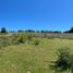  Terreno (Parcela) en venta en Concepción, Biobío, Florida, Concepción