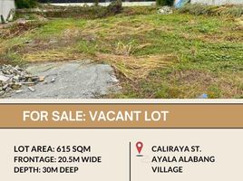  Terreno (Parcela) en venta en Muntinlupa City, Metro Manila, Muntinlupa City, Southern District, Metro Manila