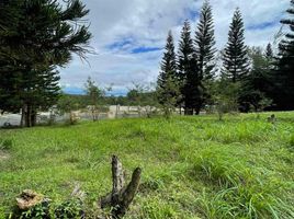  Land for sale in Talisay, Batangas, Talisay