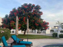 2 Bedroom Apartment for rent in La Paz, Baja California Sur, La Paz, Baja California Sur