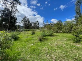  Land for sale in Canar, Cojitambo, Azogues, Canar