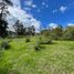  Land for sale in Cojitambo, Canar, Cojitambo