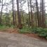  Land for sale in Cordillera, Baguio City, Benguet, Cordillera