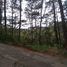  Land for sale in Cordillera, Baguio City, Benguet, Cordillera