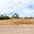  Terreno (Parcela) en alquiler en Hermosillo, Sonora, Hermosillo