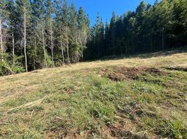  Land for sale in Chile, Villarrica, Cautin, Araucania, Chile