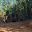  Land for sale in Chile, Villarrica, Cautin, Araucania, Chile