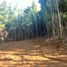  Land for sale in Chile, Villarrica, Cautin, Araucania, Chile