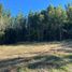  Land for sale in Chile, Villarrica, Cautin, Araucania, Chile