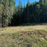 Land for sale in Chile, Villarrica, Cautin, Araucania, Chile