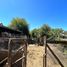  Land for sale in Chile, Lautaro, Cautin, Araucania, Chile