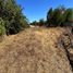  Land for sale in Chile, Lautaro, Cautin, Araucania, Chile