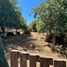  Land for sale in Chile, Lautaro, Cautin, Araucania, Chile