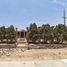  Land for rent in Cardenas, San Luis Potosi, Cardenas, San Luis Potosi