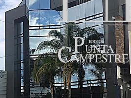 234 SqM Office for rent in Guanajuato, Leon, Guanajuato