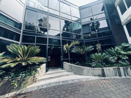 200 m2 Office for rent in Mexico City, Alvaro Obregon, Mexico City