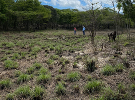  Land for sale in Panama, Puerto Obaldia, Kuna Yala, Kuna Yala, Panama