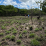  Land for sale in Puerto Obaldia, Kuna Yala, Puerto Obaldia, Kuna Yala, Kuna Yala