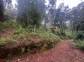  Grundstück zu verkaufen in Valle De Bravo, Mexico, Valle De Bravo
