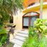 1 Bedroom Apartment for rent in Cozumel, Quintana Roo, Cozumel