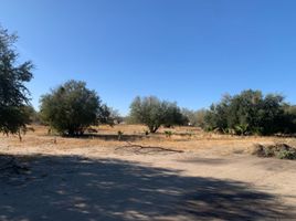  토지을(를) Hermosillo, 소노라에서 판매합니다., Hermosillo
