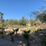  토지을(를) Hermosillo, 소노라에서 판매합니다., Hermosillo