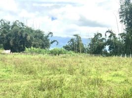  Land for sale in Claveria, Misamis Oriental, Claveria